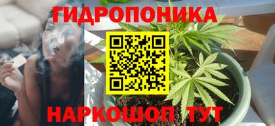 индика Чебаркуль