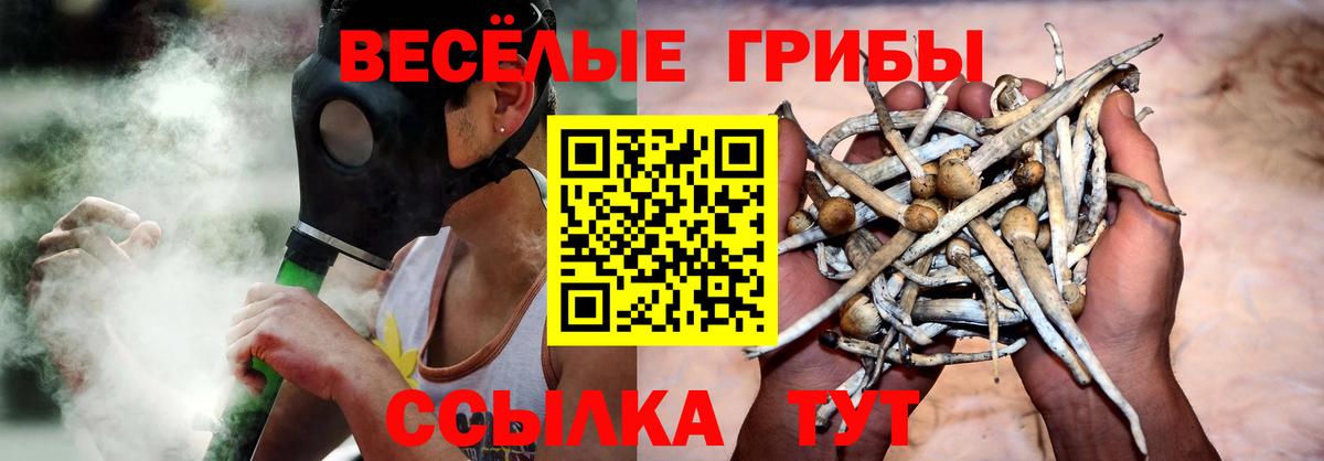 Кыштым  купить  сайты  Вход с VPN  Галлюциногенные грибы MAGIC MUSHROOMS 